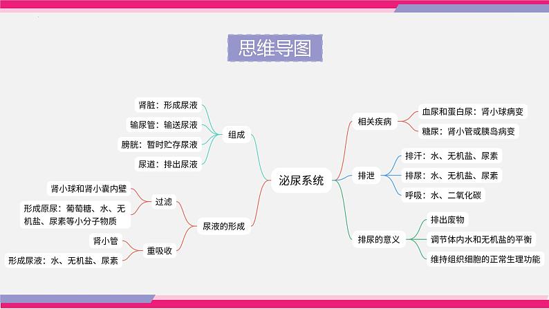 专题13 人体内废物的排出(课件精讲)-2023年中考生物一轮复习讲练测05