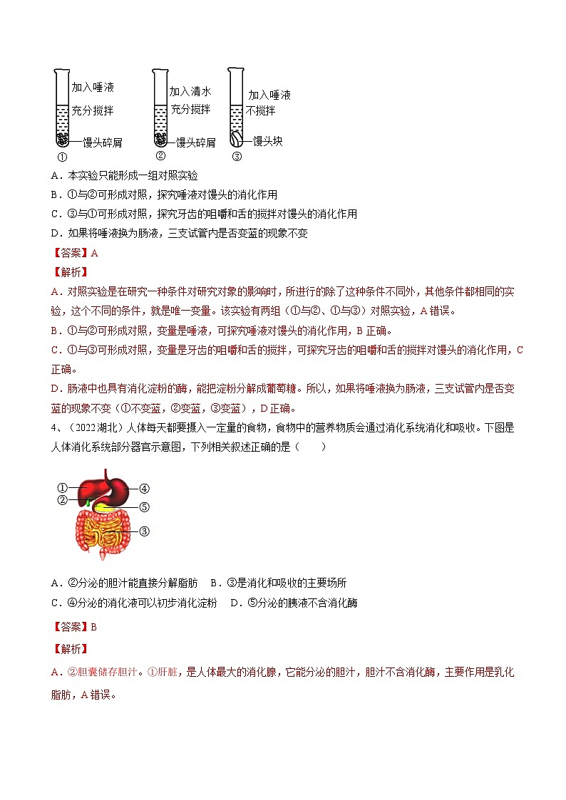 专题10 人体的营养(专题精练)-2023年中考生物一轮复习讲练测(解析版)第2页