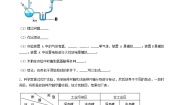 北师大版八年级下册第21章  生命的发生和发展综合与测试复习练习题