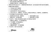 初中生物北师大版八年级下册第4节  动物的主要类群当堂检测题