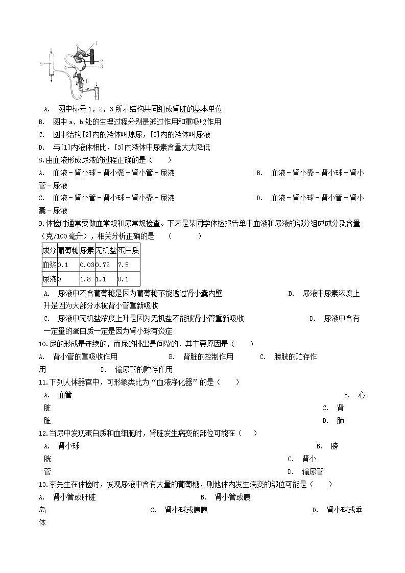 2023七年级生物下册第四单元生物圈中的人第11章人体代谢废物的排出11.2尿的形成与排出练习含解析新版北师大版第2页
