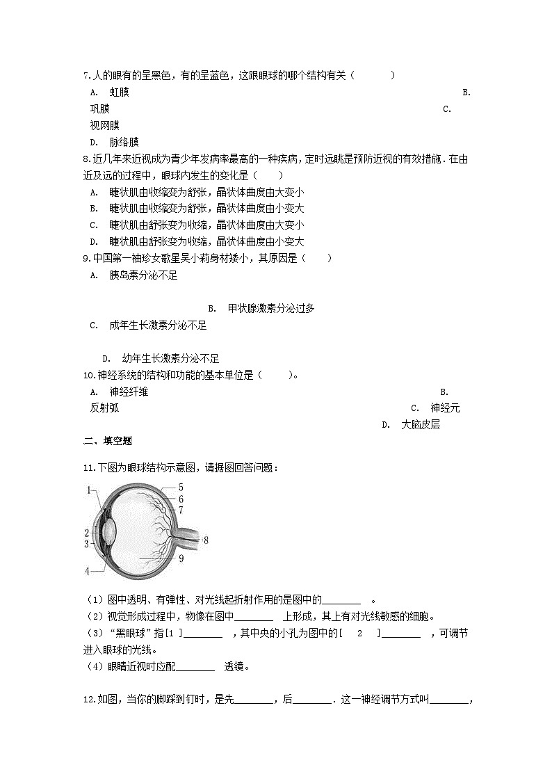 2023七年级生物下册第四单元生物圈中的人第12章人体的自我调节练习新版北师大版第2页