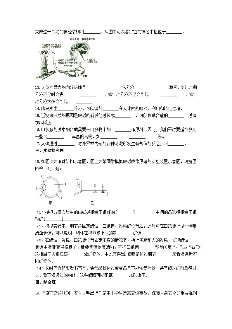 2023七年级生物下册第四单元生物圈中的人第12章人体的自我调节练习新版北师大版第3页