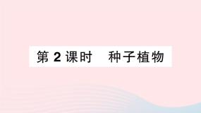 生物八年级下册第3节  植物的主要类群作业ppt课件