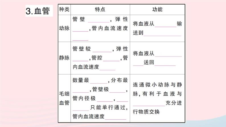 2023七年级生物下册期末复习专题二人体内的物质运输作业课件新版北师大版04