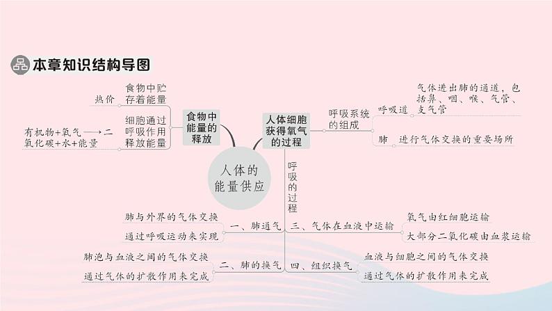 2023七年级生物下册第四单元生物圈中的人第十章人体的能量供应总结训练作业课件新版北师大版02