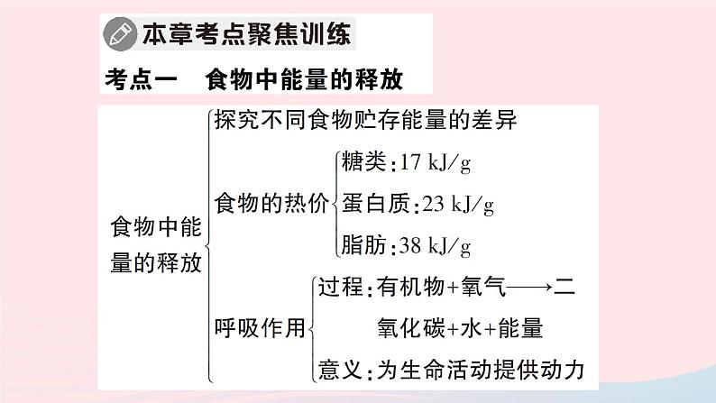 2023七年级生物下册第四单元生物圈中的人第十章人体的能量供应总结训练作业课件新版北师大版03
