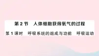 北师大版第2节 人体细胞获得氧气的过程作业课件ppt
