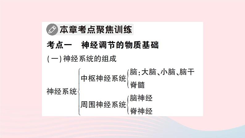 2023七年级生物下册第四单元生物圈中的人第12章人体的自我调节总结训练作业课件新版北师大版05