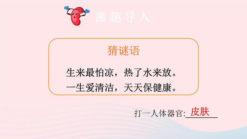 2023七年级生物下册第四单元生物圈中的人第11章人体代谢废物的排出第3节皮肤与汗液分泌课件新版北师大版02