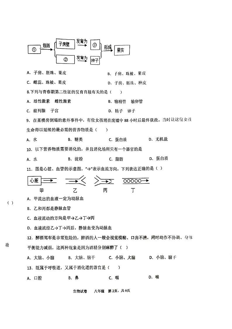 辽宁省鞍山市铁西区2023-2024学年八年级上学期开学生物试题第2页