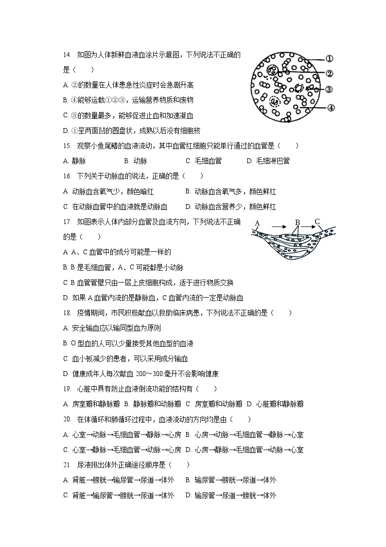 2022-2023学年新疆克拉玛依市白碱滩区七年级（下）期末生物试卷（含解析）03