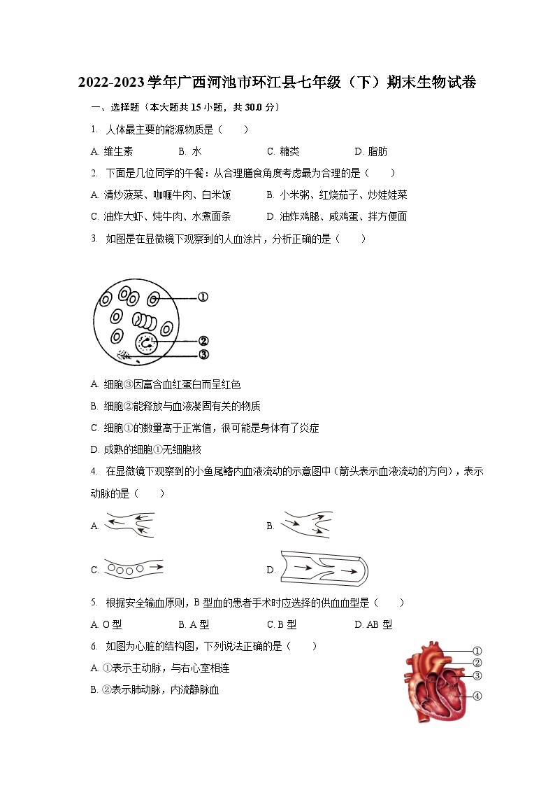 2022-2023学年广西河池市环江县七年级（下）期末生物试卷（含解析）01