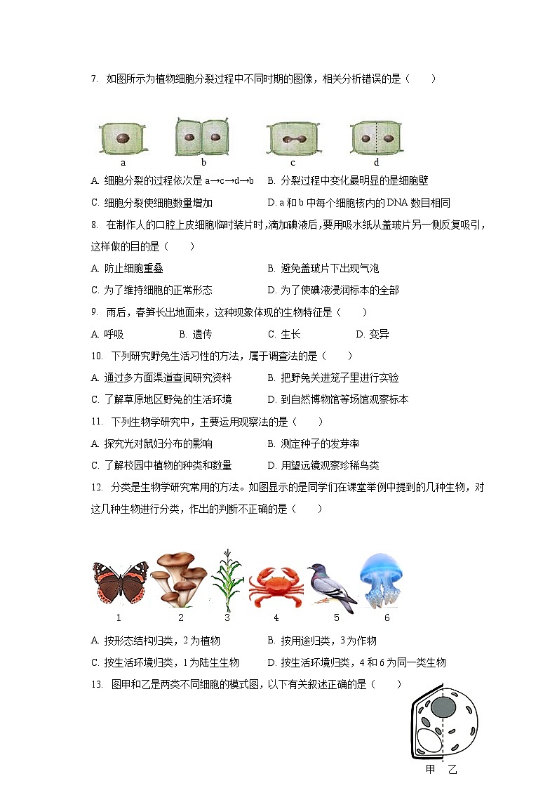 2023-2024学年山东省枣庄市滕州市羊庄中学七年级(上)开学生物试卷(含解析)第2页