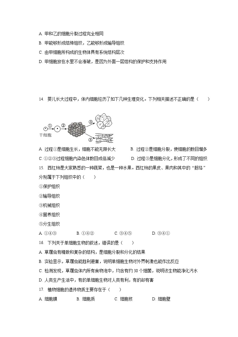 2023-2024学年山东省枣庄市滕州市羊庄中学七年级（上）开学生物试卷（含解析）03