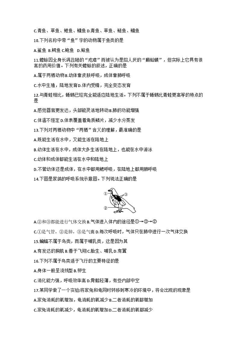 试题第2页