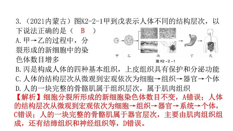 中考生物复习第二单元生物体的结构层次第二章细胞怎样构成生物体课件04