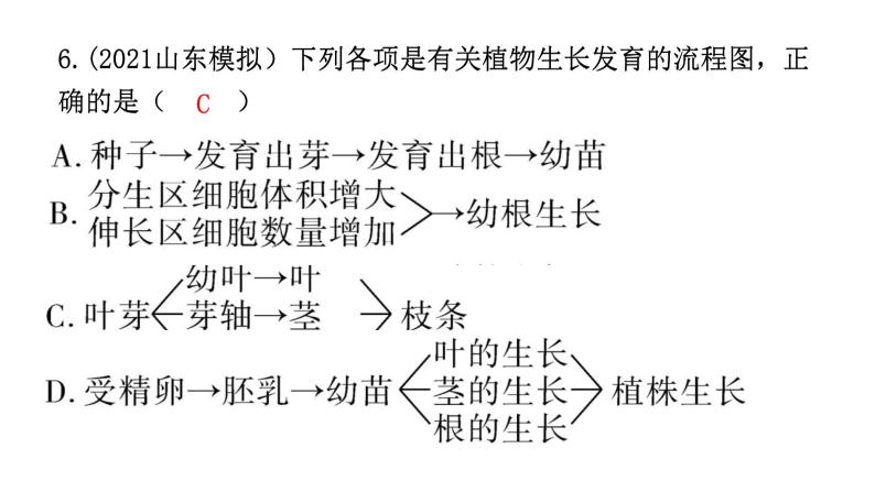 中考生物复习第三单元生物圈中的绿色植物第二章被子植物的一生课件07