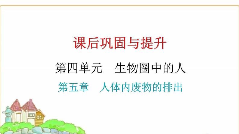 中考生物复习第四单元生物圈中的人第五章人体内废物的排出课件01