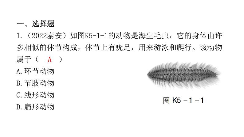 中考生物复习第五单元生物圈中的其他生物第一章动物的主要类群课件02