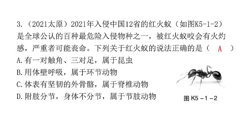 中考生物复习第五单元生物圈中的其他生物第一章动物的主要类群课件04
