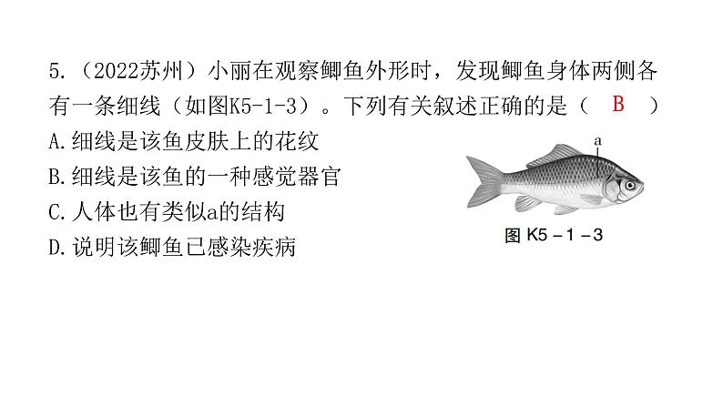 中考生物复习第五单元生物圈中的其他生物第一章动物的主要类群课件06