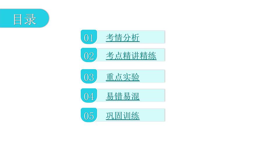 中考生物復(fù)習第四單元生物圈中的人第六章人體生命活動的調(diào)節(jié)第七章人類活動對生物圈的影響課件第2頁