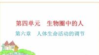 中考生物復(fù)習(xí)第四單元生物圈中的人第六章人體生命活動(dòng)的調(diào)節(jié)課件