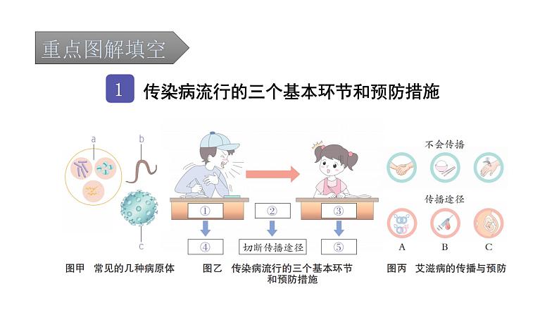 中考生物复习第八单元健康地生活第一章传染病和免疫课件第2页