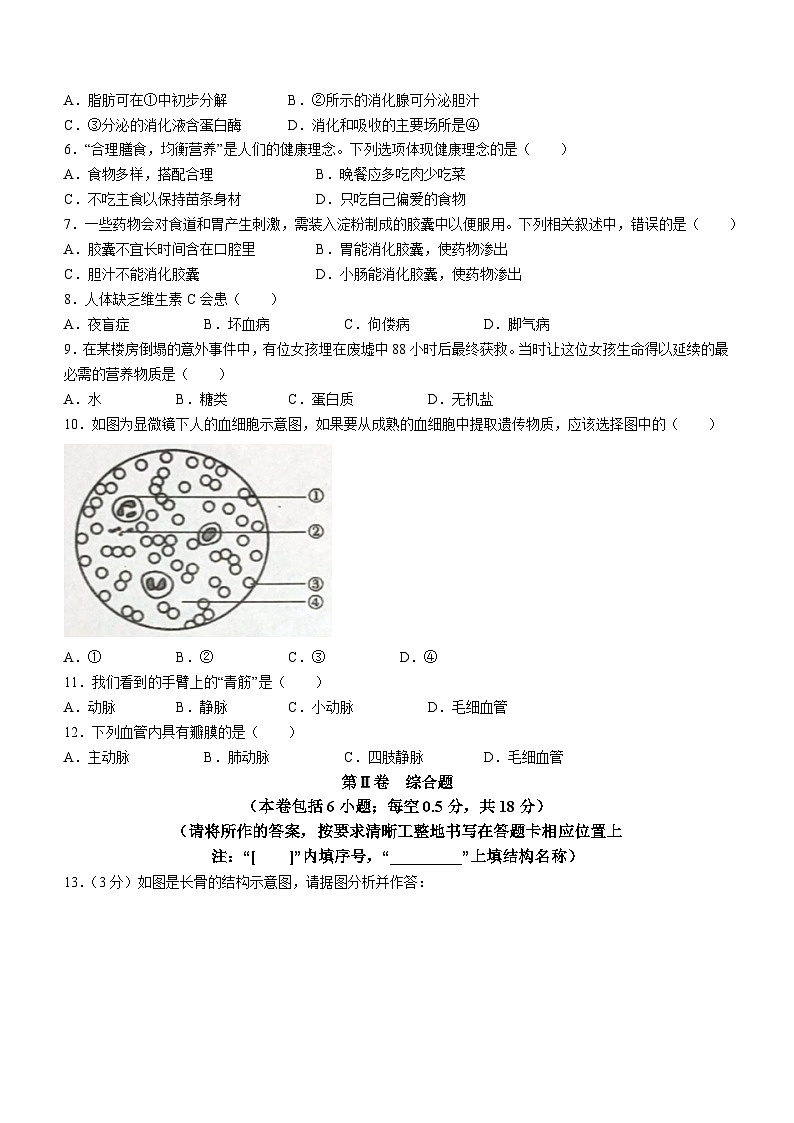 辽宁省鞍山市铁西区2022-2023学年七年级下学期期中生物试题第2页