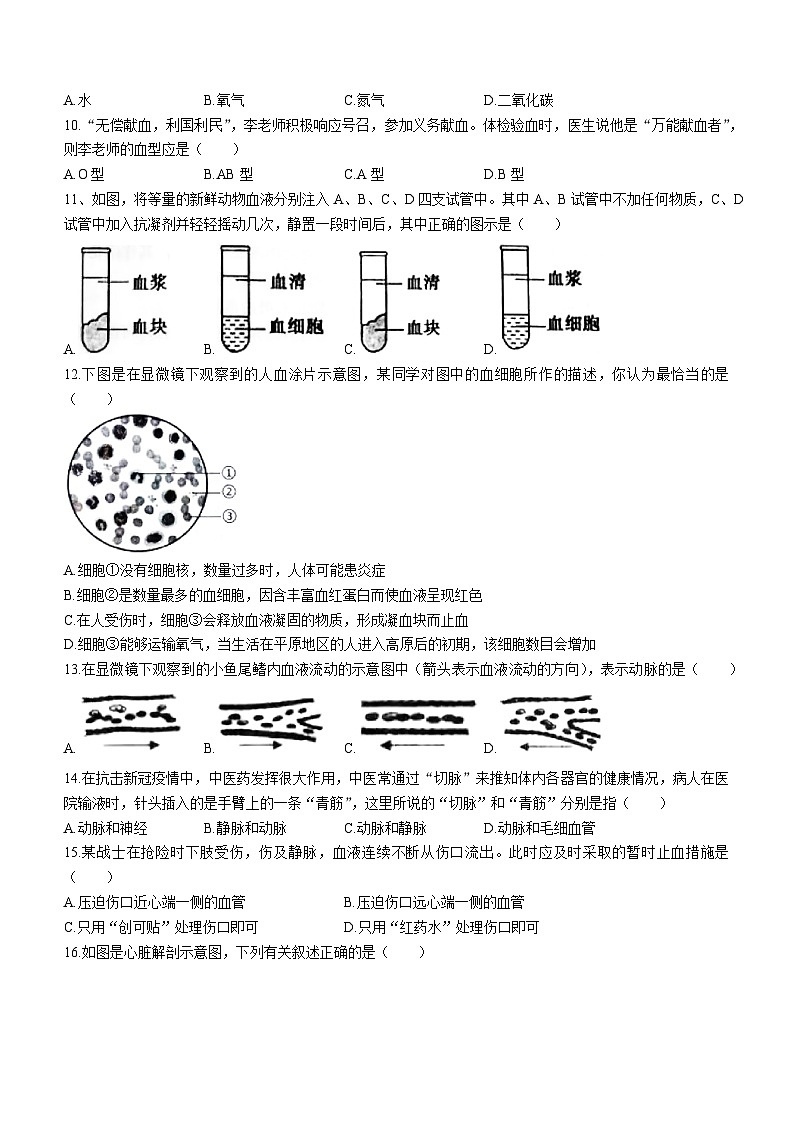 山东省德州市乐陵市2022-2023学年七年级下学期期中生物试题02