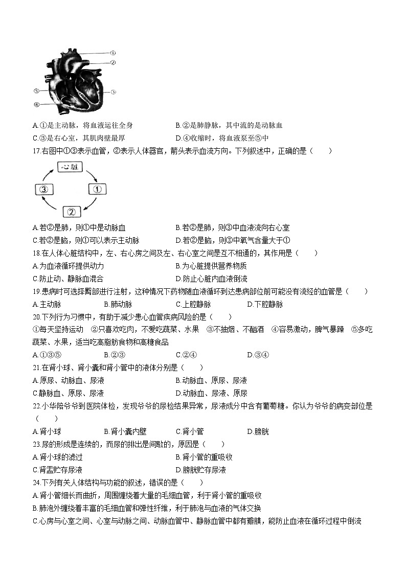 山东省德州市乐陵市2022-2023学年七年级下学期期中生物试题03