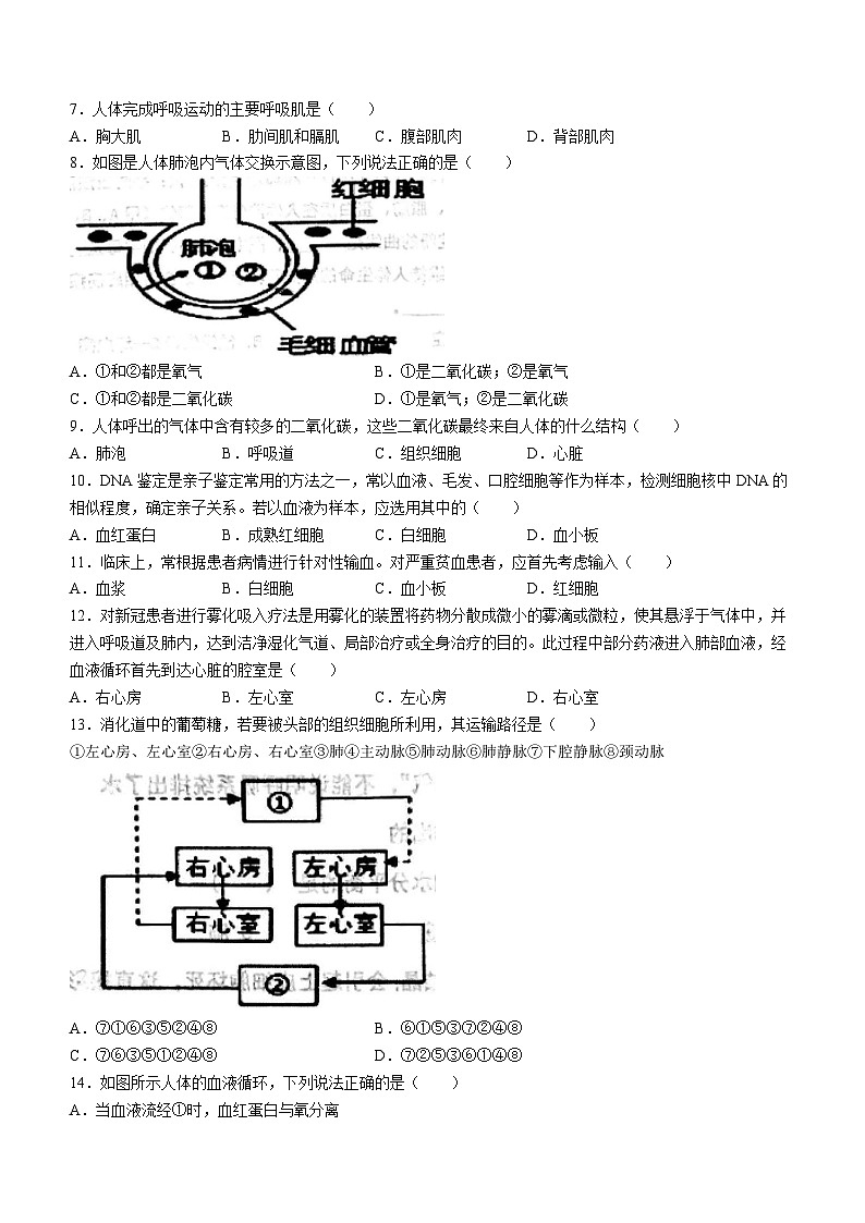 山东省枣庄市市中区2022-2023学年七年级下学期期中生物试题第2页