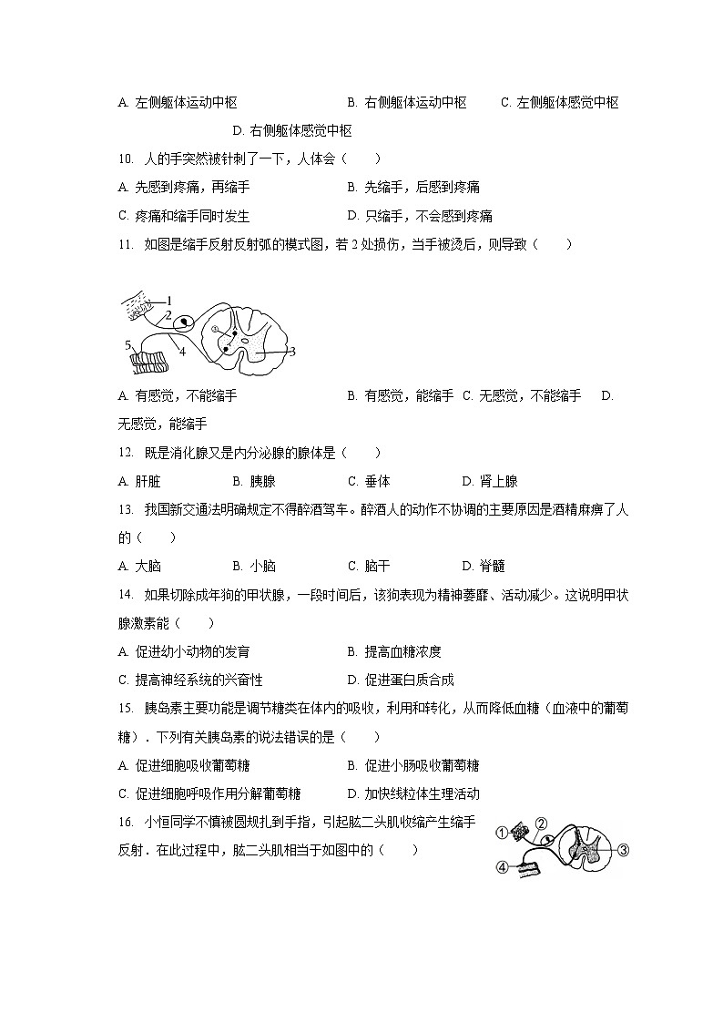 2022-2023学年山东省东营市广饶县乐安街道乐安中学七年级(下)月考生物试卷(五四学制)(3月份)(含解析)02