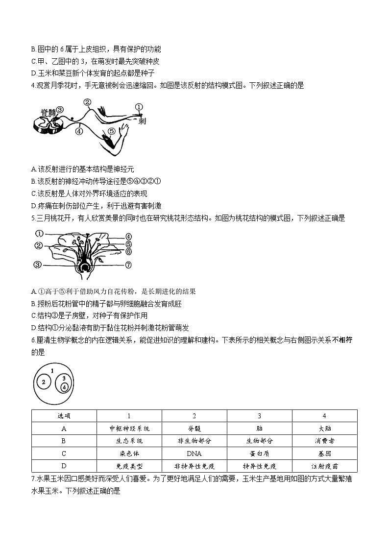 江苏省徐州市铜山区2022-2023学年八年级下学期期中生物试题(无答案)02