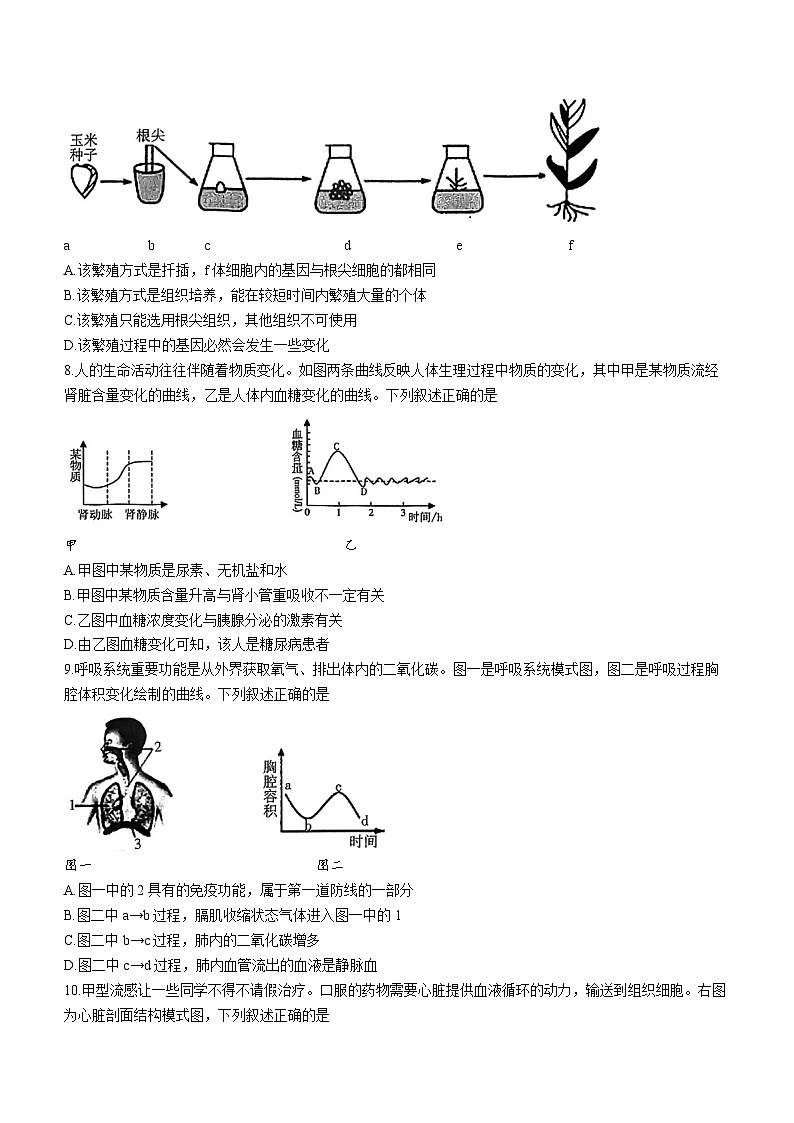 江苏省徐州市铜山区2022-2023学年八年级下学期期中生物试题(无答案)03