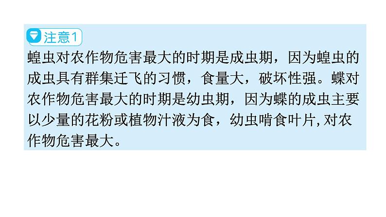 北师大版八年级生物上册第6单元第19章第2节动物的生殖和发育教学课件第5页