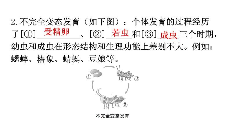 北师大版八年级生物上册第6单元第19章第2节动物的生殖和发育教学课件第6页