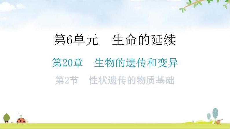 北师大版八年级生物上册第6单元第20章第2节性状遗传的物质基础教学课件第1页