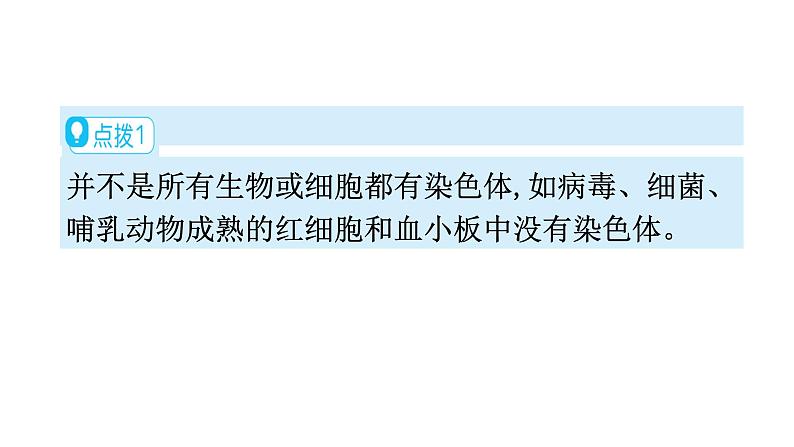 北师大版八年级生物上册第6单元第20章第2节性状遗传的物质基础教学课件第5页