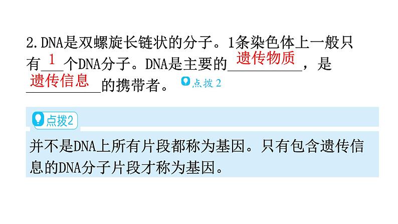 北师大版八年级生物上册第6单元第20章第2节性状遗传的物质基础教学课件第6页