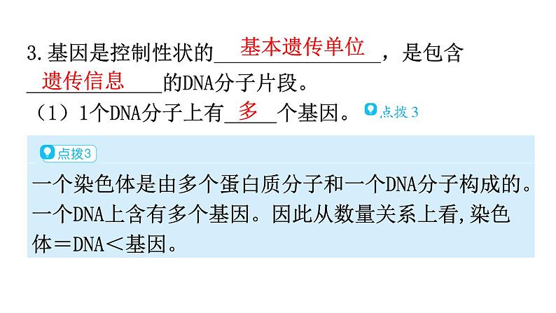 北师大版八年级生物上册第6单元第20章第2节性状遗传的物质基础教学课件第7页