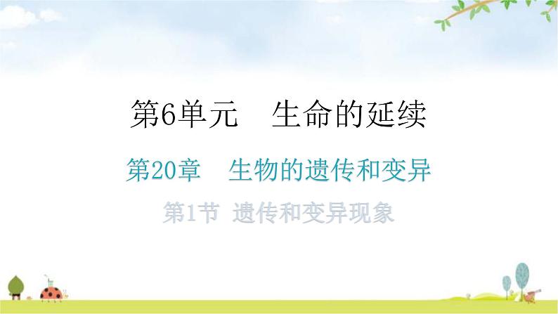 北师大版八年级生物上册第20章第1节遗传和变异现象分层作业课件第1页