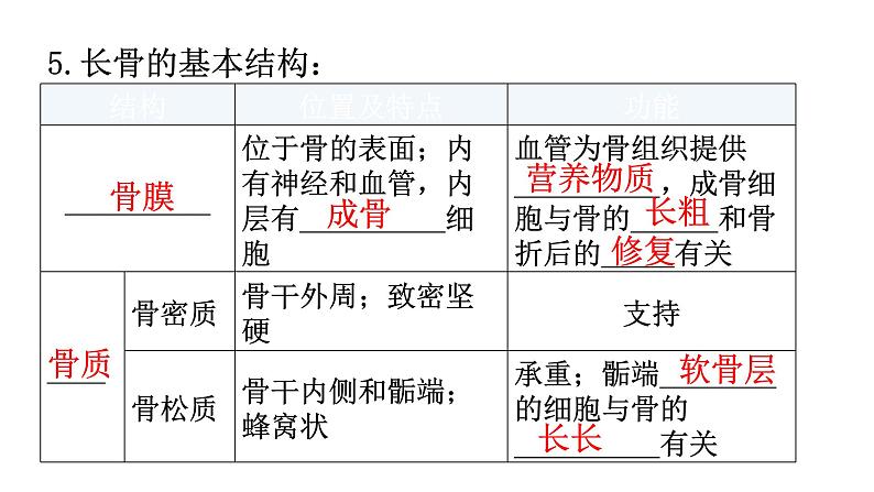 北师大版八年级生物上册第5单元第15章动物的运动练习课件04