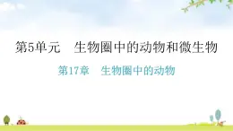 北师大版八年级生物上册第5单元第17章生物圈中的动物练习课件