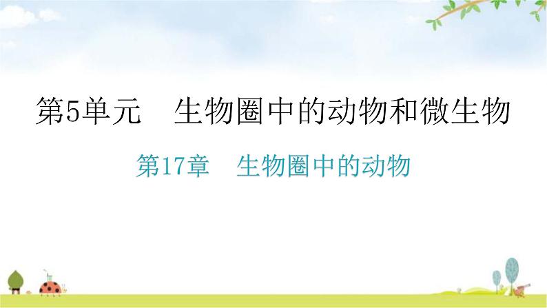 北师大版八年级生物上册第5单元第17章生物圈中的动物练习课件第1页