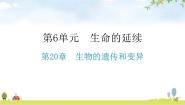 初中生物北师大版八年级上册第20章  生物的遗传和变异综合与测试图片ppt课件