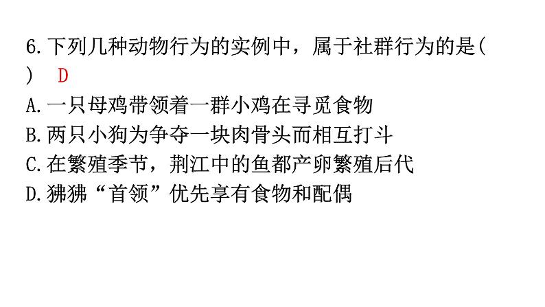 北师大版八年级生物上册期末过关训练课件第7页