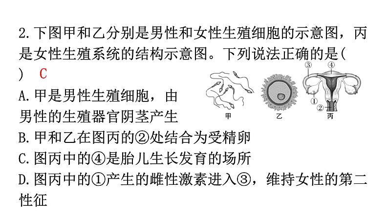 北师大版八年级生物上册第6单元过关训练课件第3页
