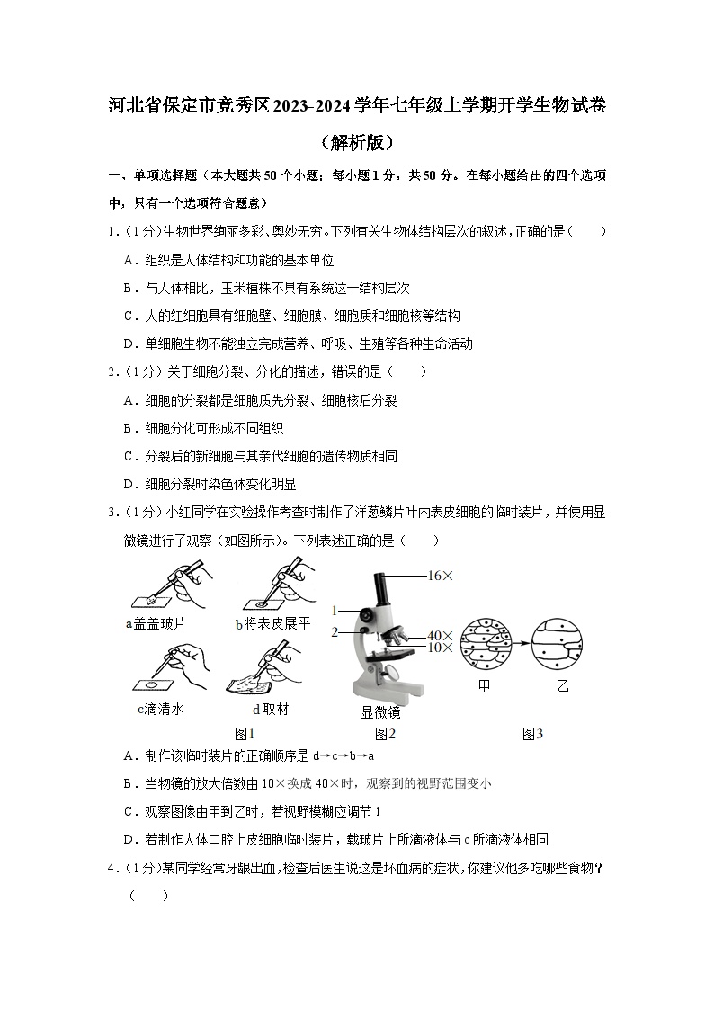 河北省保定市竞秀区2023-2024学年七年级上学期开学生物试卷